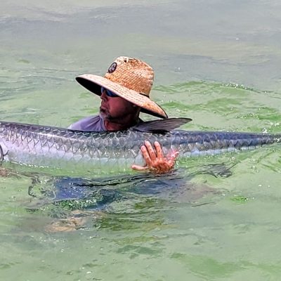 Panama City Fishing Guide - Tarpon Fishing main